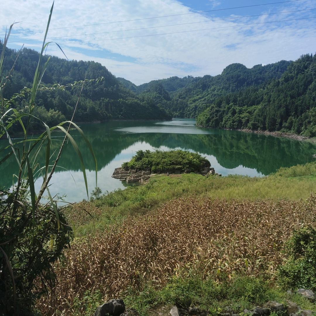 70后来风高洞