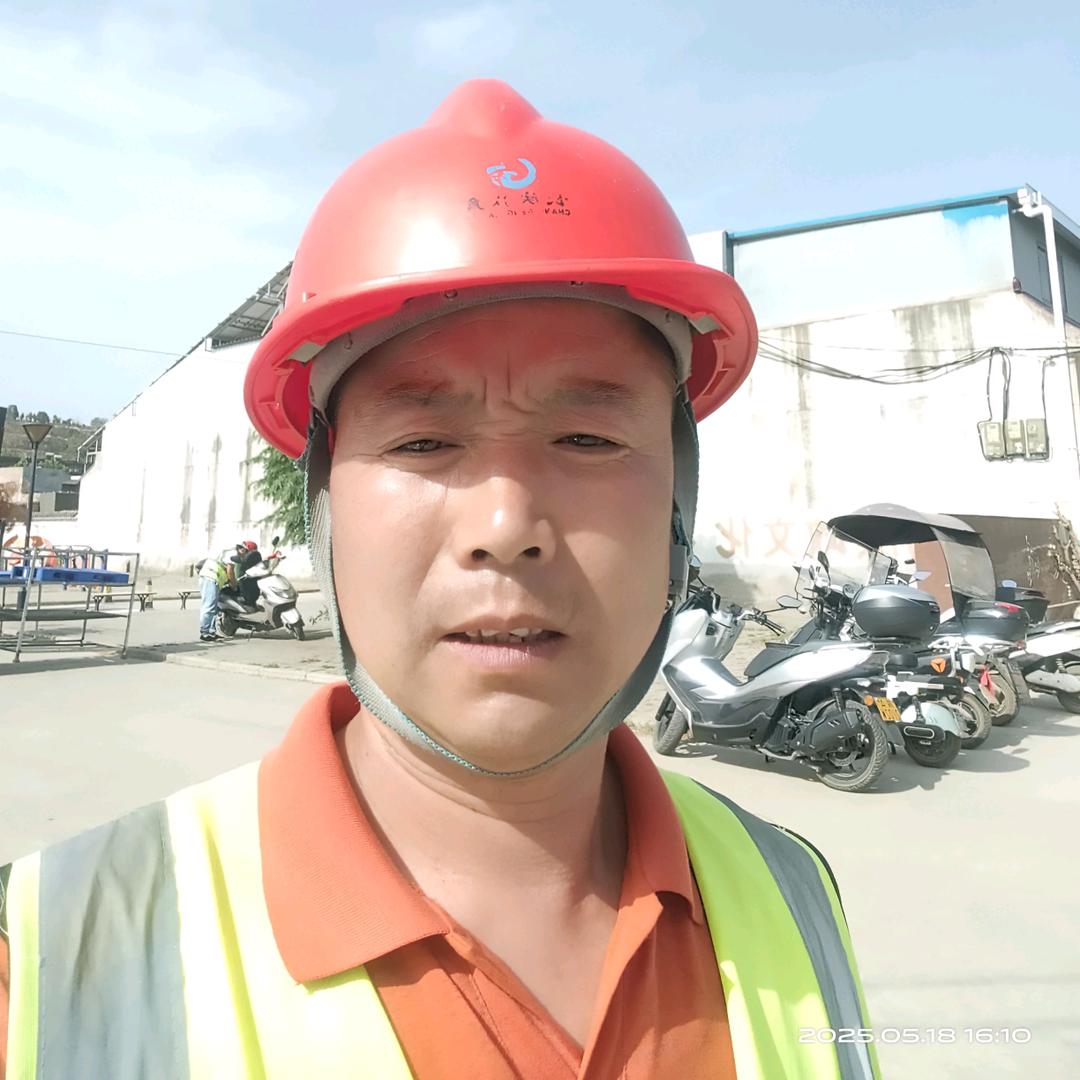 西安伐树(拆)房