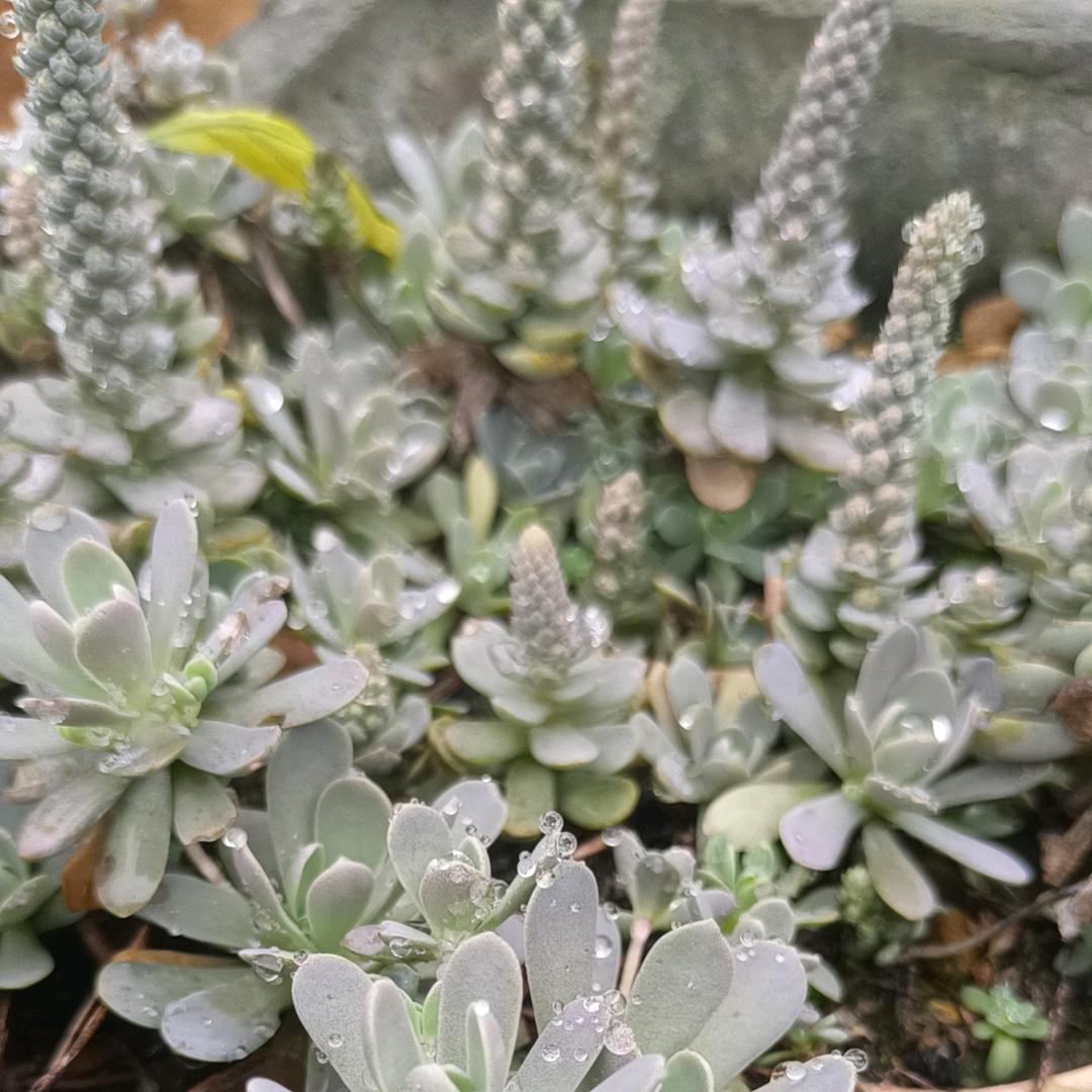 (˵¯͒〰¯͒˵)