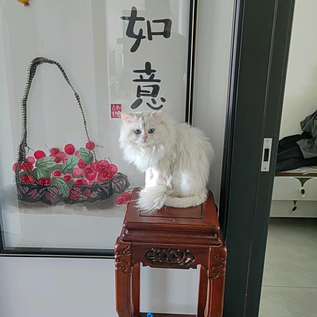薄荷