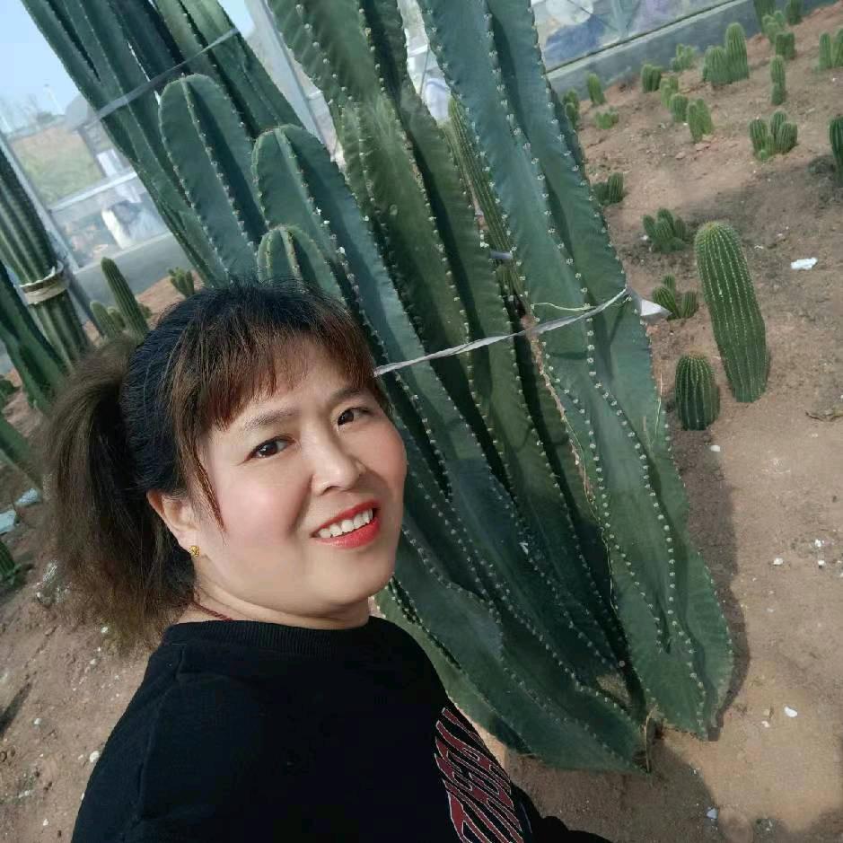 用户明天会更好