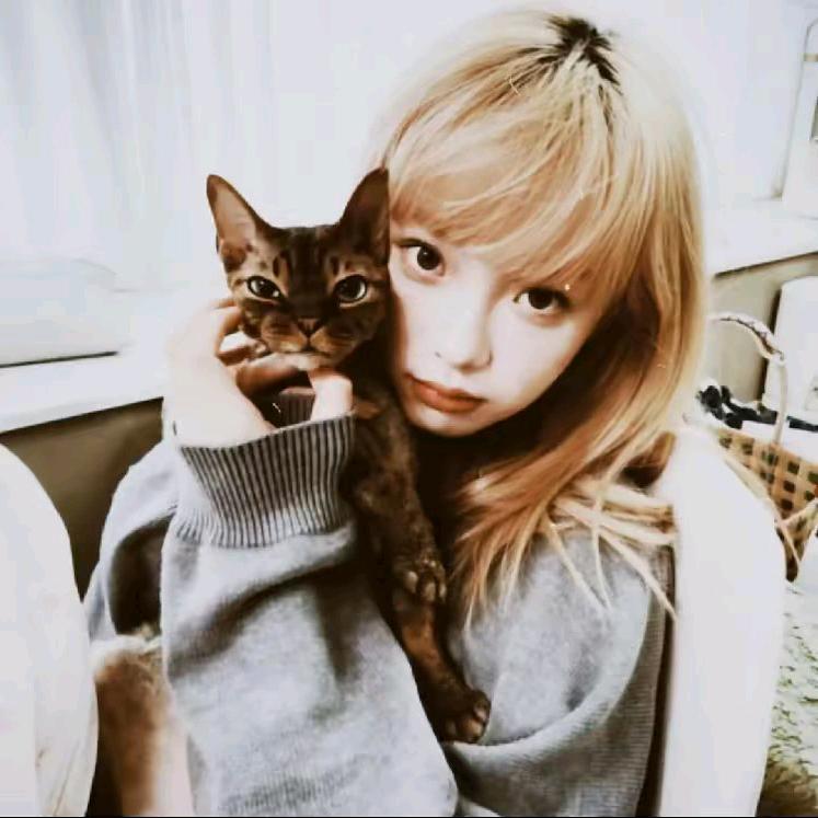 晗.