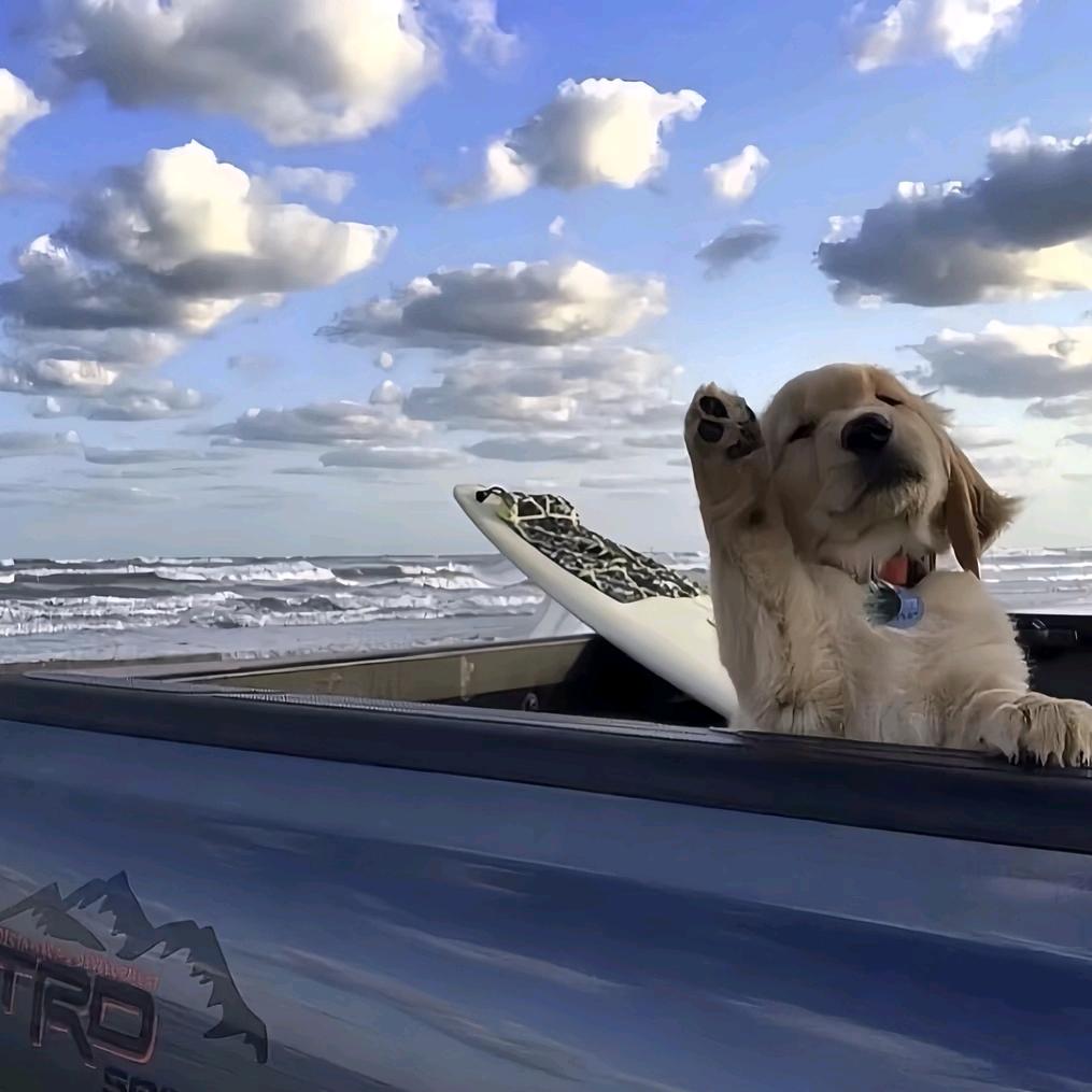 穿越西安做装修