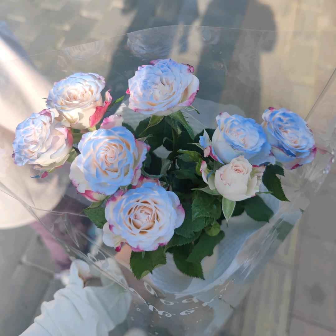 多多囍樂🌸🌈