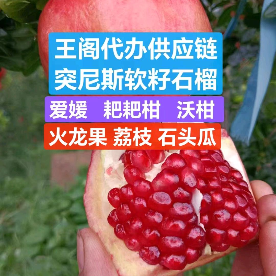 王阁代办供应链 （石榴季）