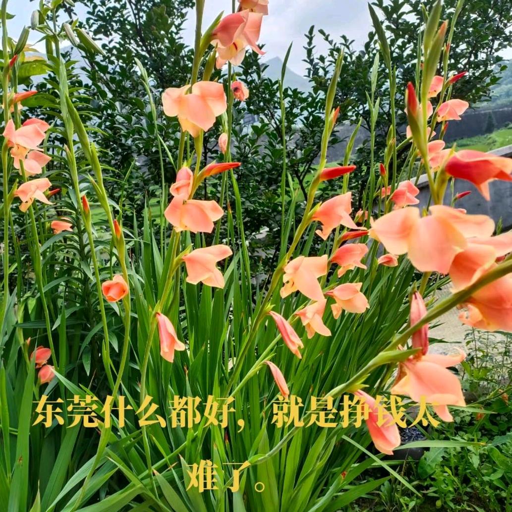 👿👿👿👿👿👿