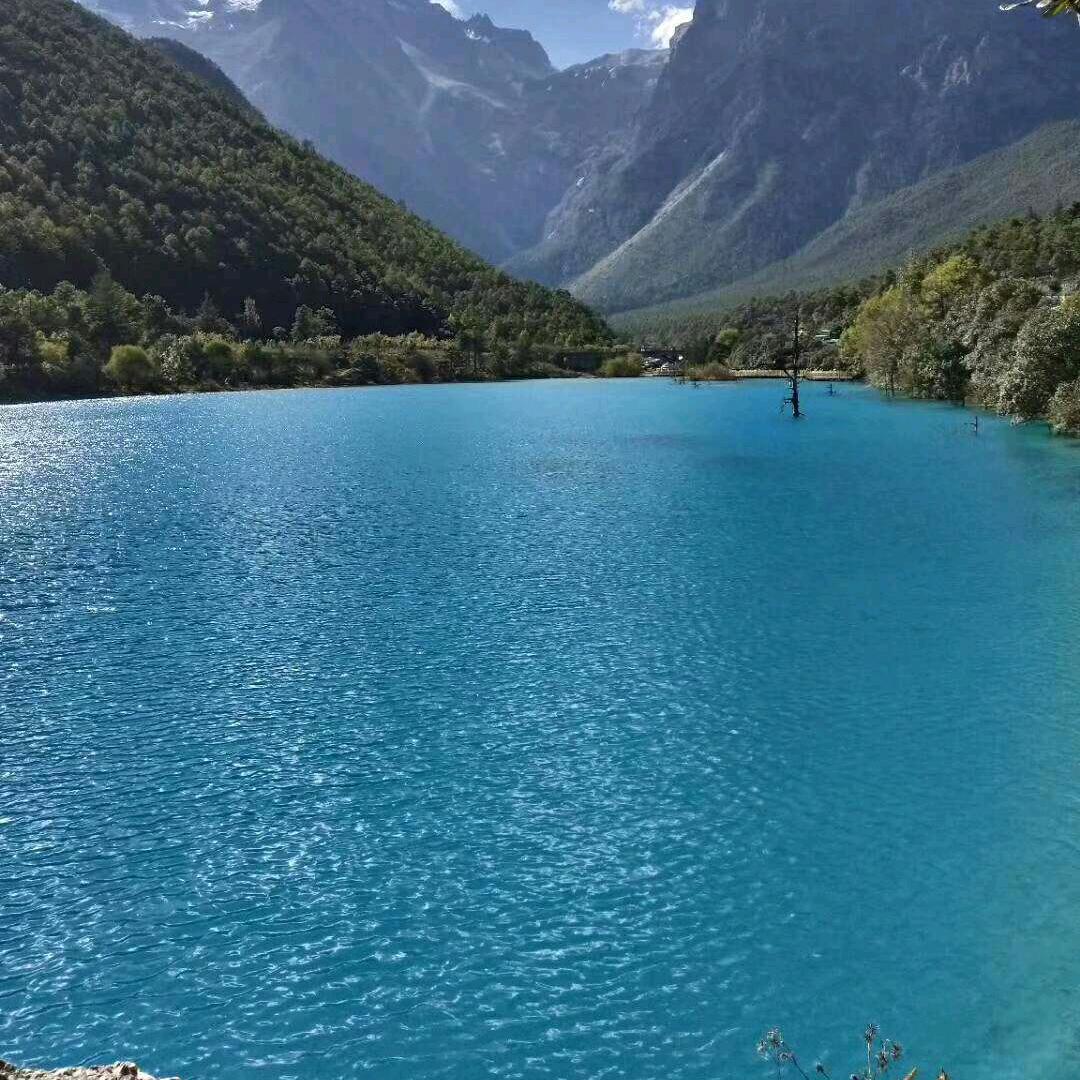 忘不掉的凯凯