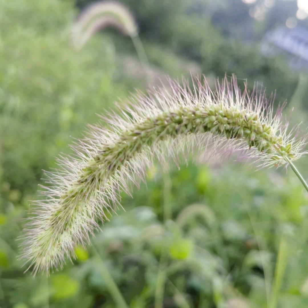 人间烟火（退网中）