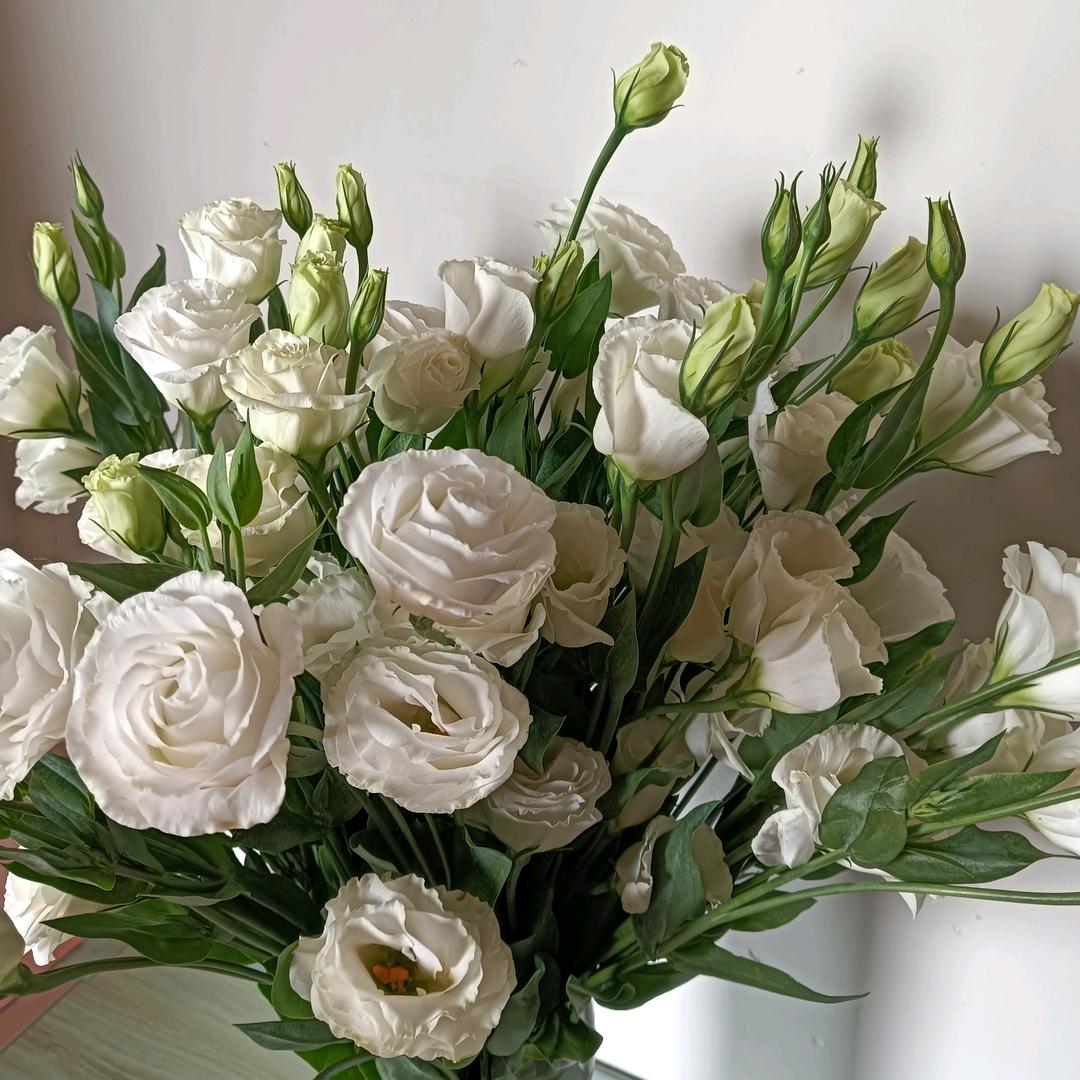 ❤️心想事陈🍊