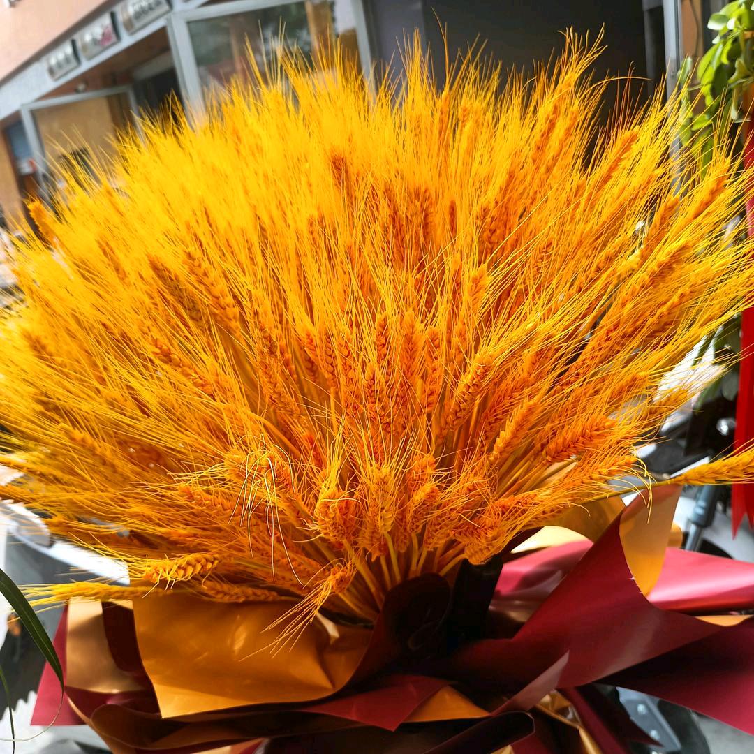 ໑ຼₒ₂5ღ᭄往事🦋清零꧔ꦿ᭄💞