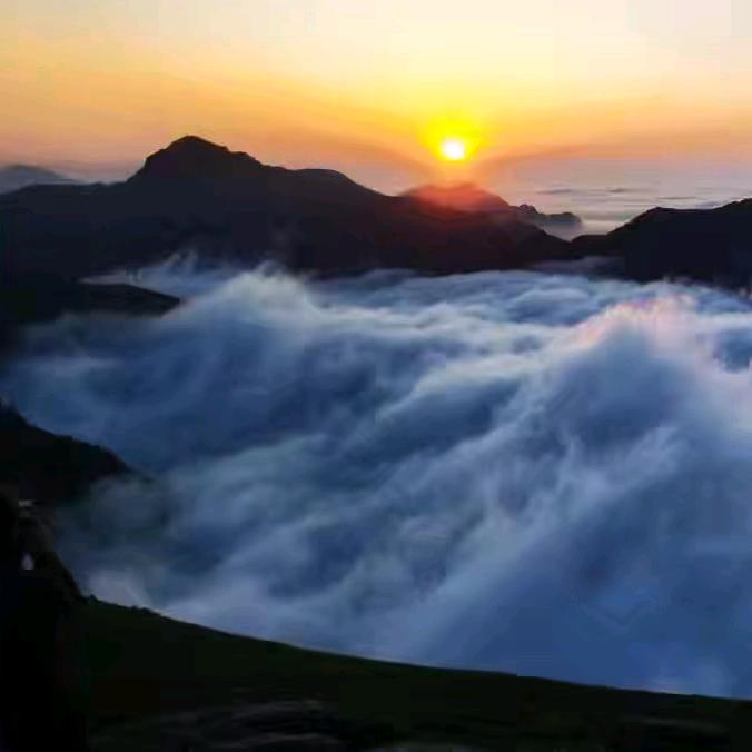 茶山云海里脊肉饼