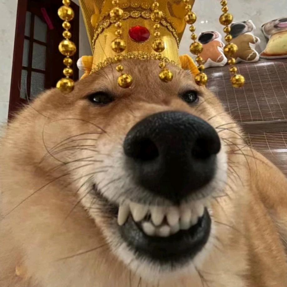 有志者