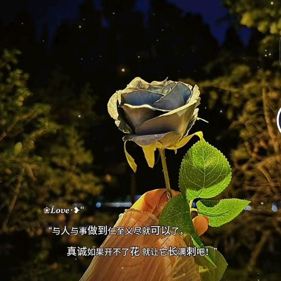 ღ᭄💞㞮ོএ: 孞💞༊ ړ࿐