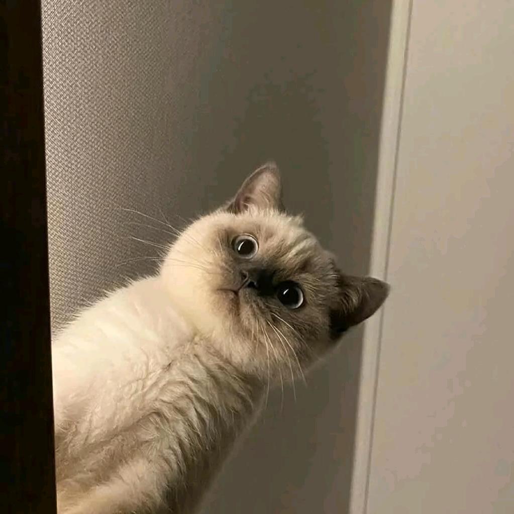 黑猫警长