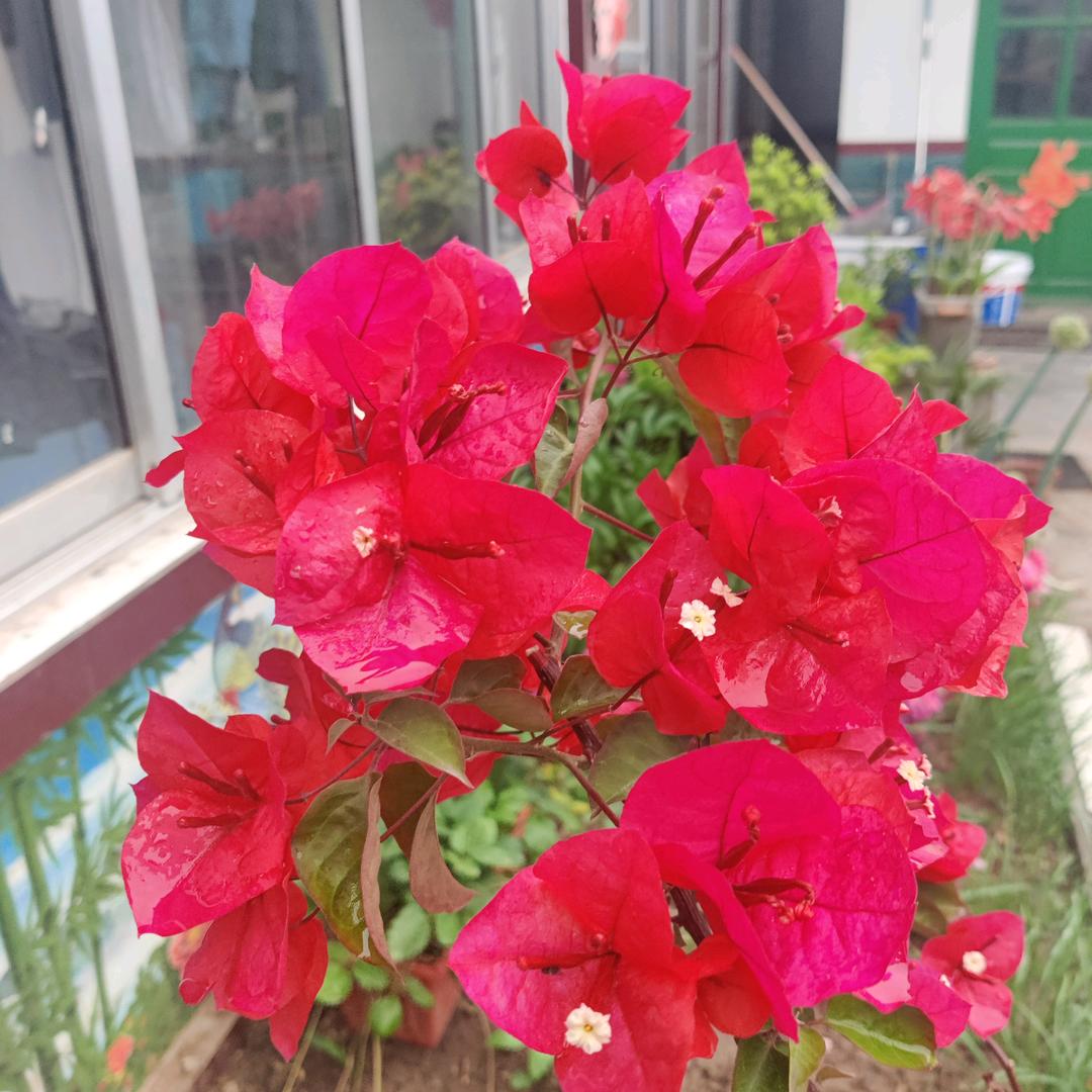 风雨兼程（拒绝私聊）