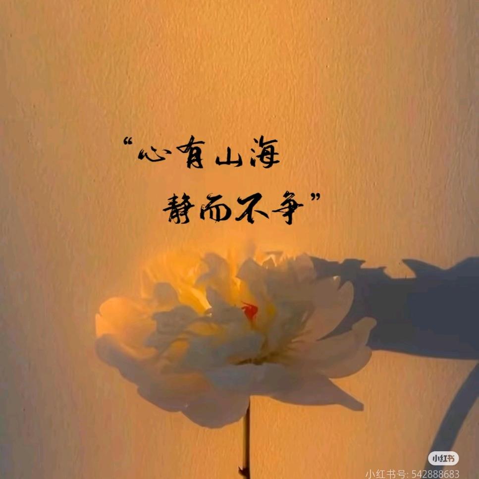 @自渡🪷