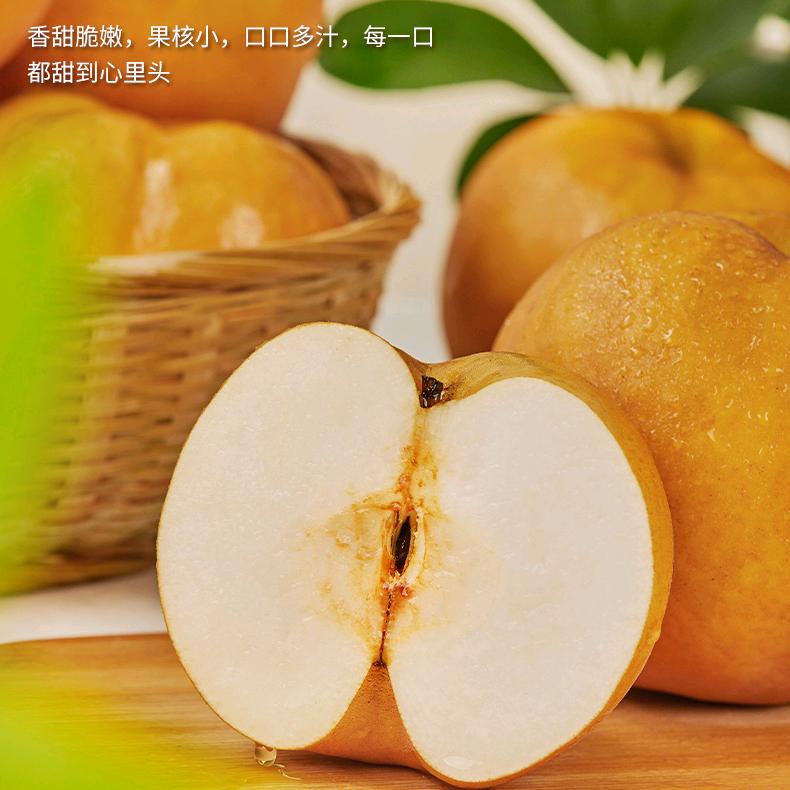 橙子哥家的果园(奉渝梨上市了)