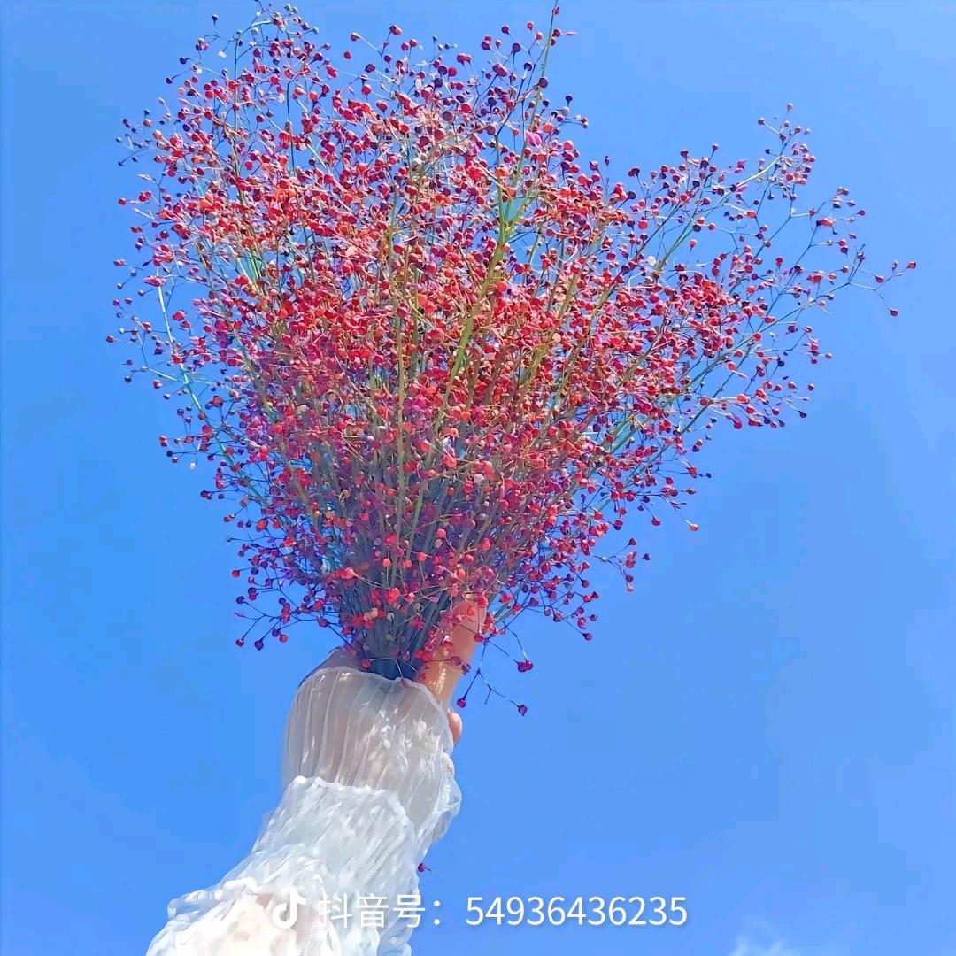 心想事成