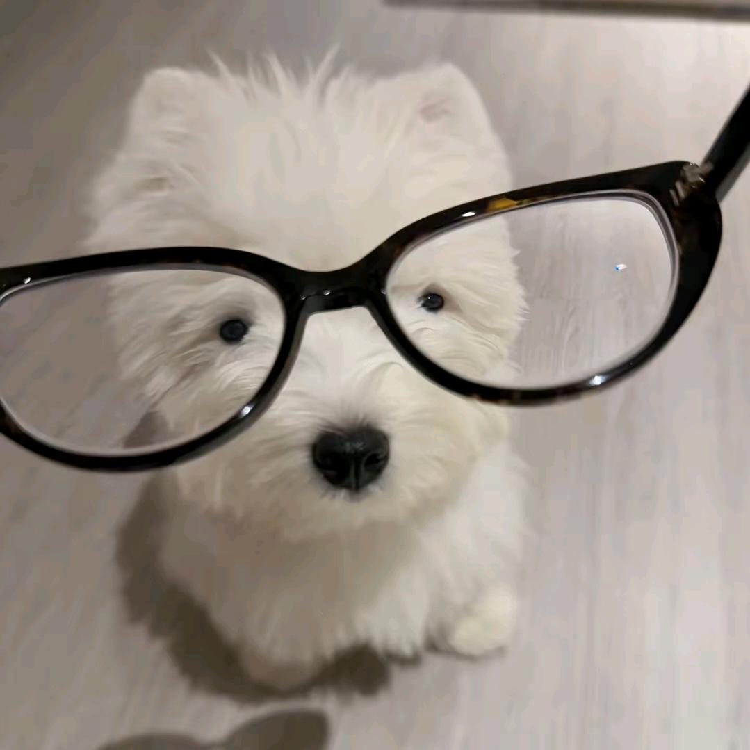萍纯