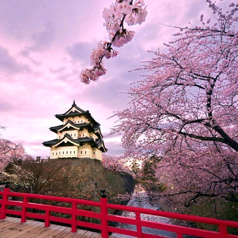 闫新雨订订美食精选铺