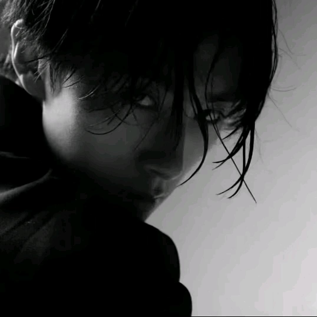 考拉大王