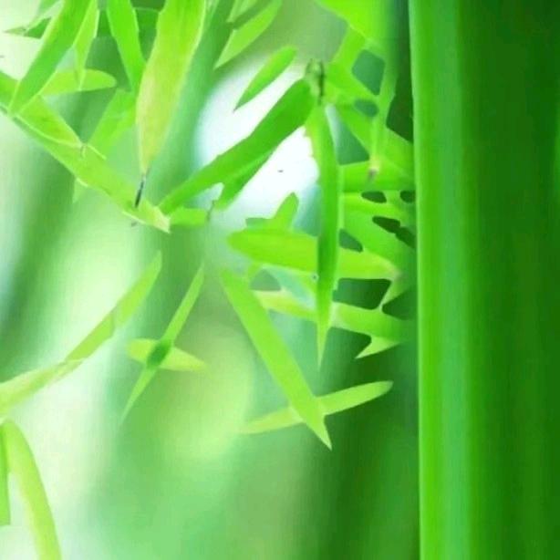 幸福
