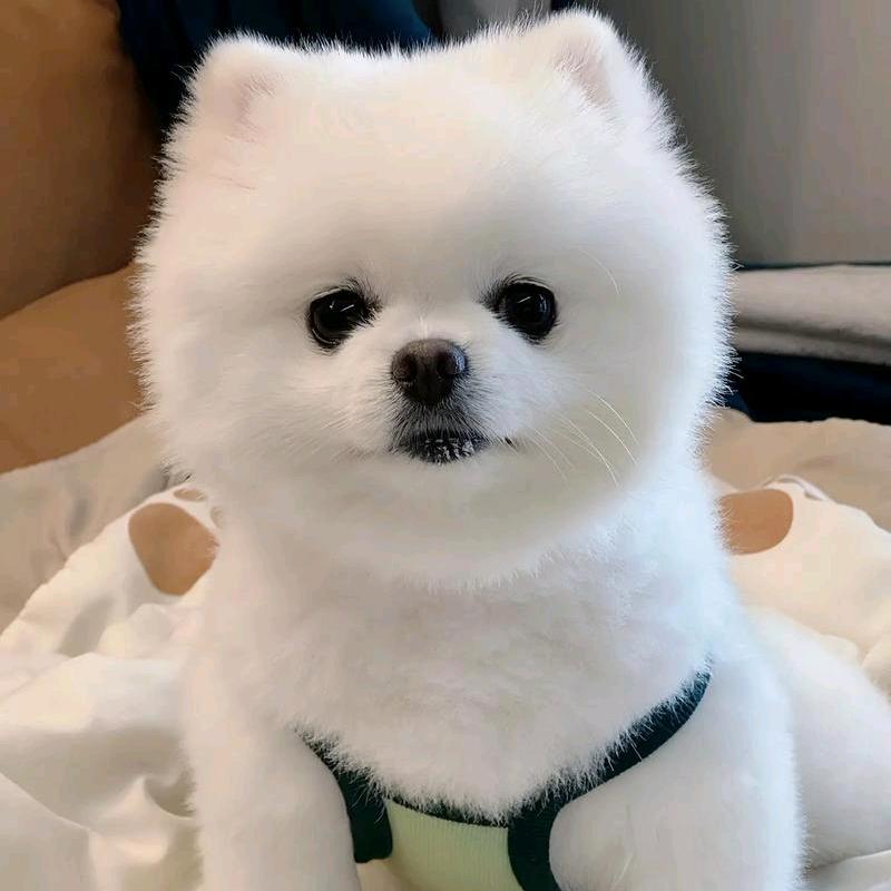 Mrs.Ye