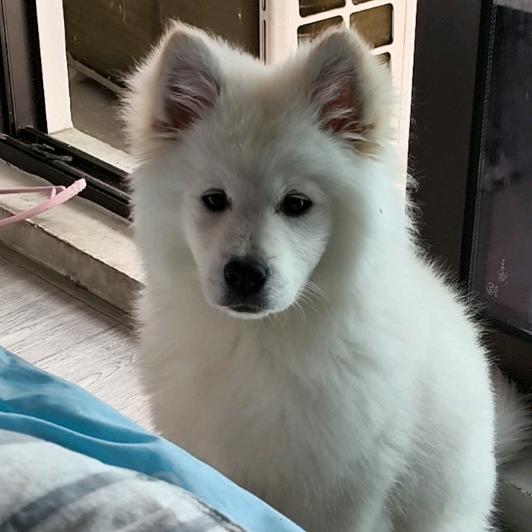 故渊