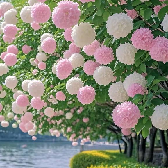 蒋慧英