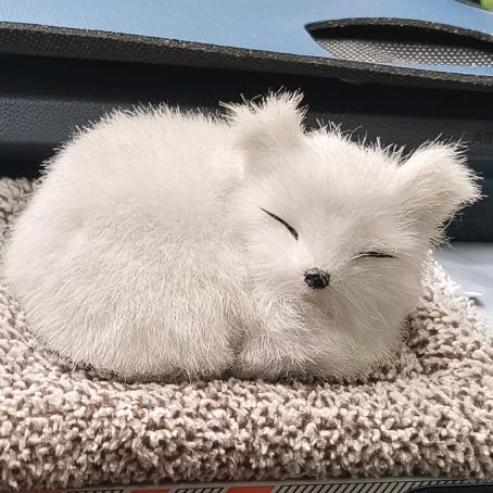 飒柒（学歌一蹶不振版）