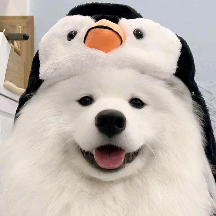 骂不过就吐口水