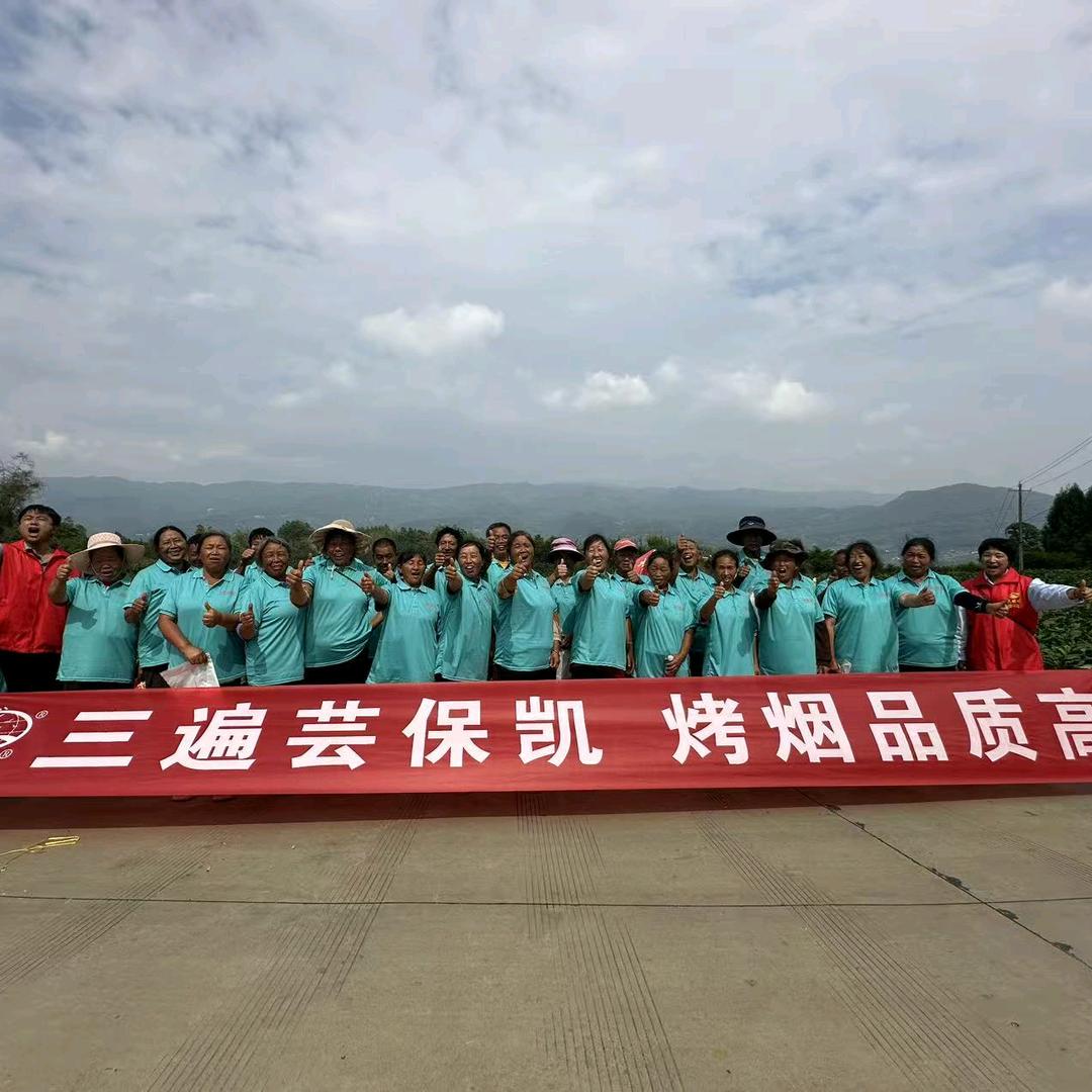 腾冲最美烤烟🍁陈国能