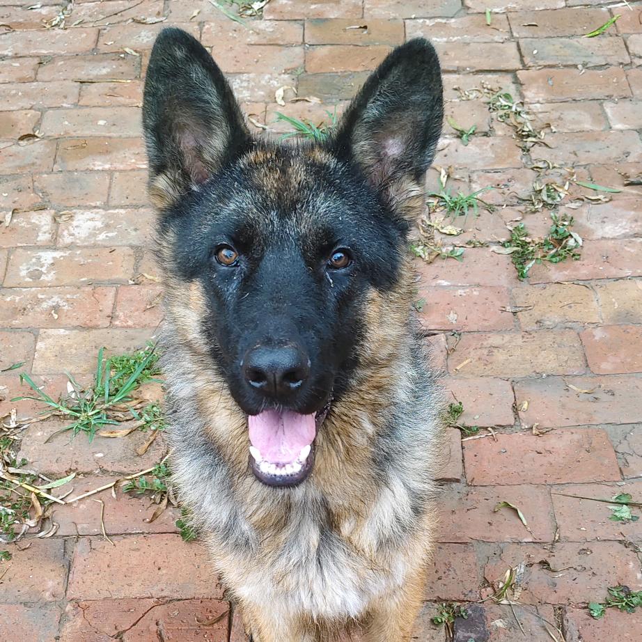 🍾+🍋+🌿+🍒=🍹