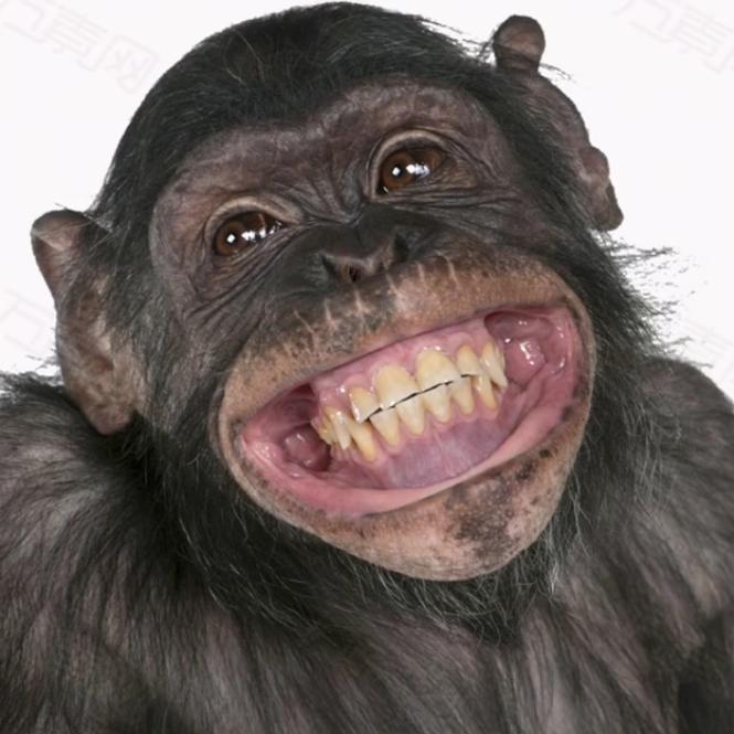 一闪一闪亮晶晶