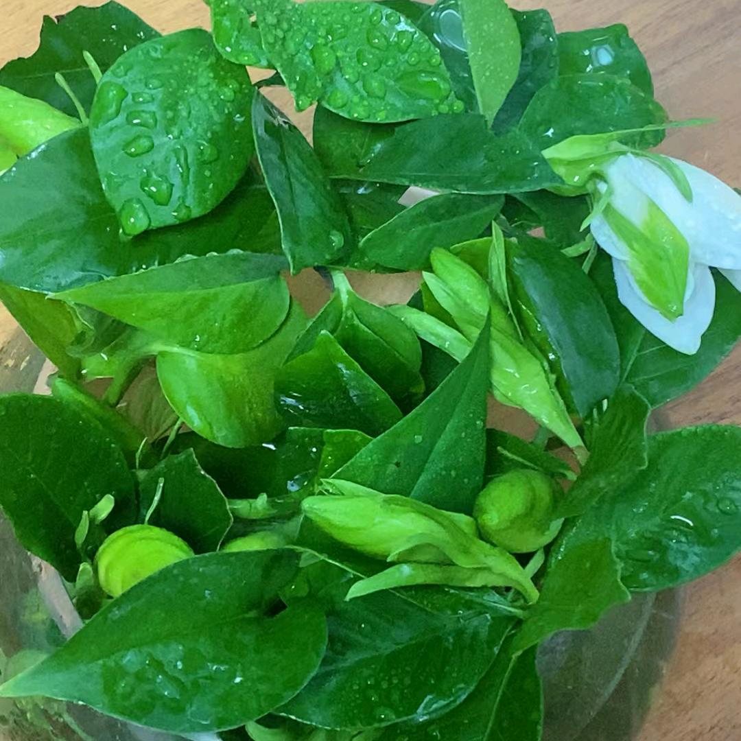 语欣