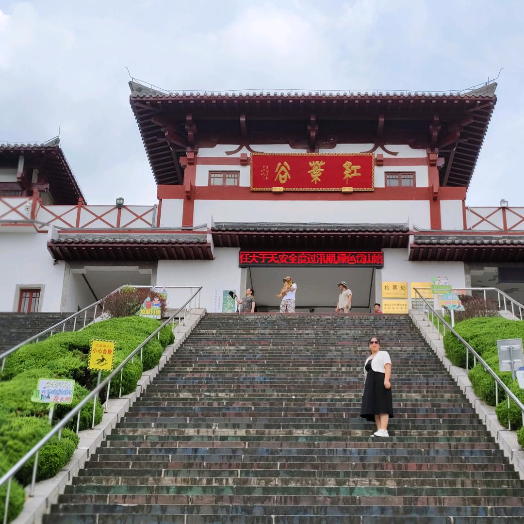 陌陌（拒绝连赞）