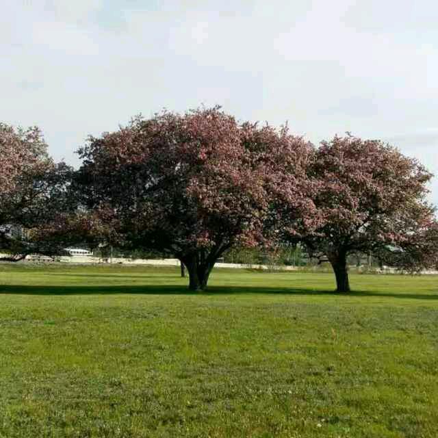 北京散人002