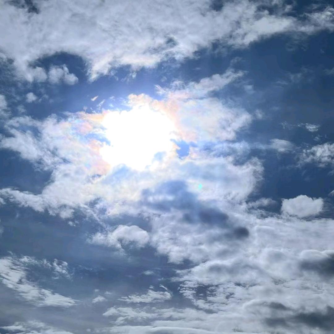 清枫(