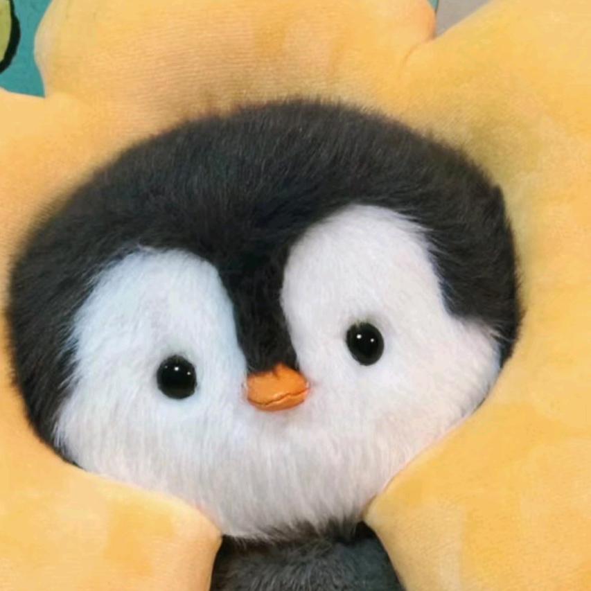 企鹅🐧