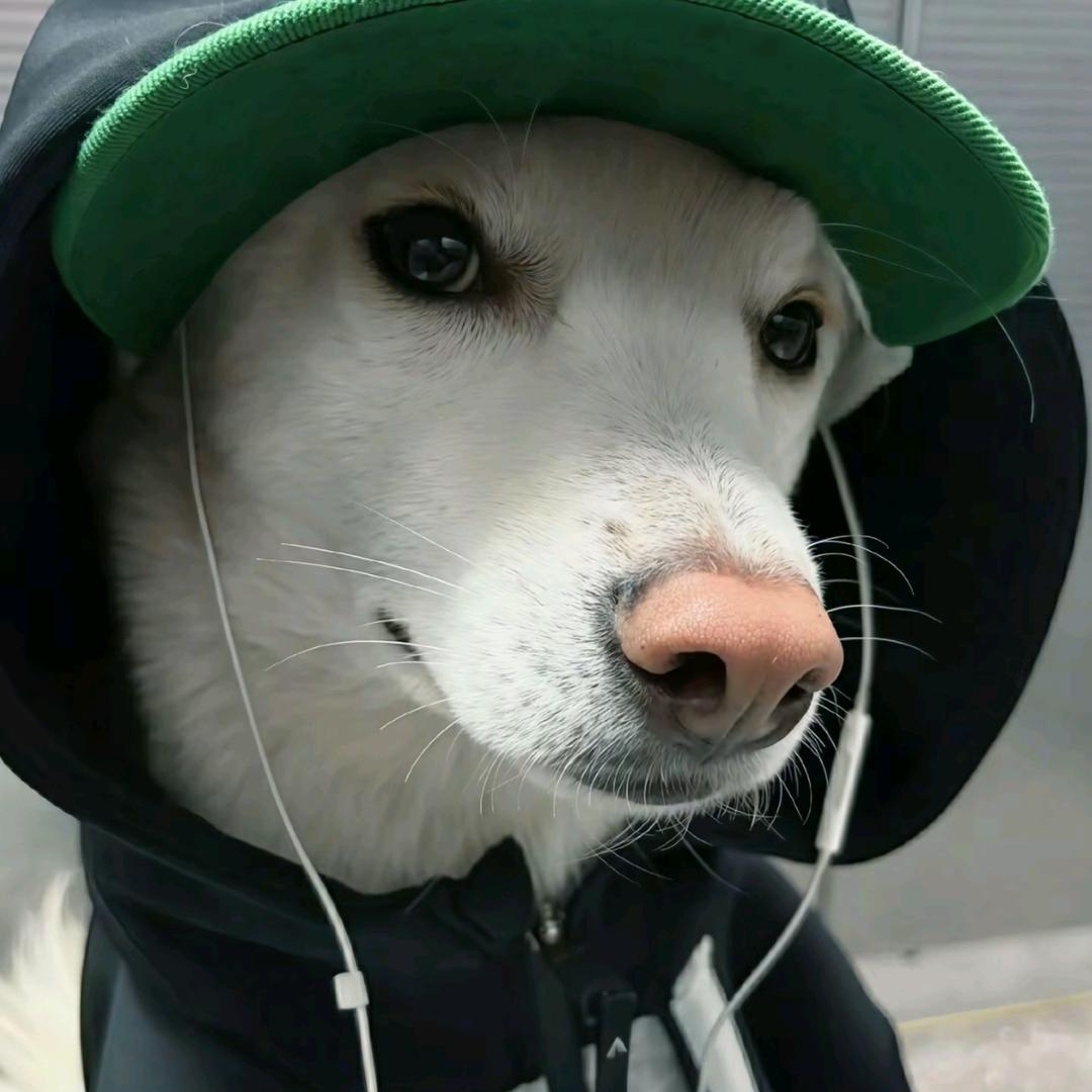 j杰