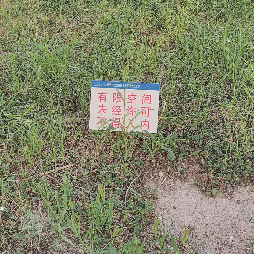 给你1大脖溜子
