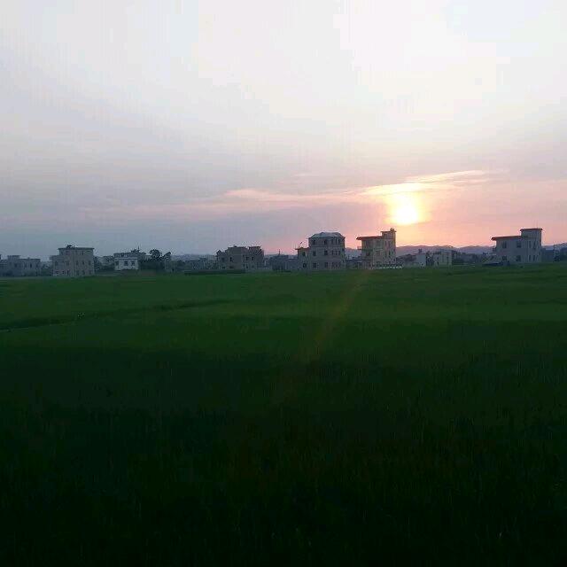 孤君~伴枕✨🍀