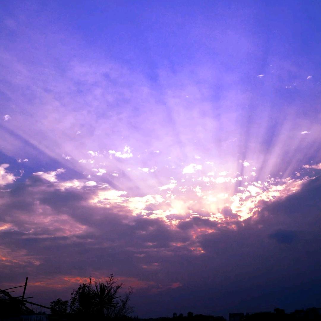 心若向阳