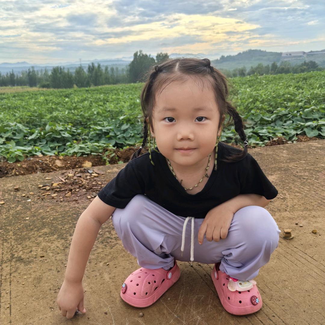 迪迪吖