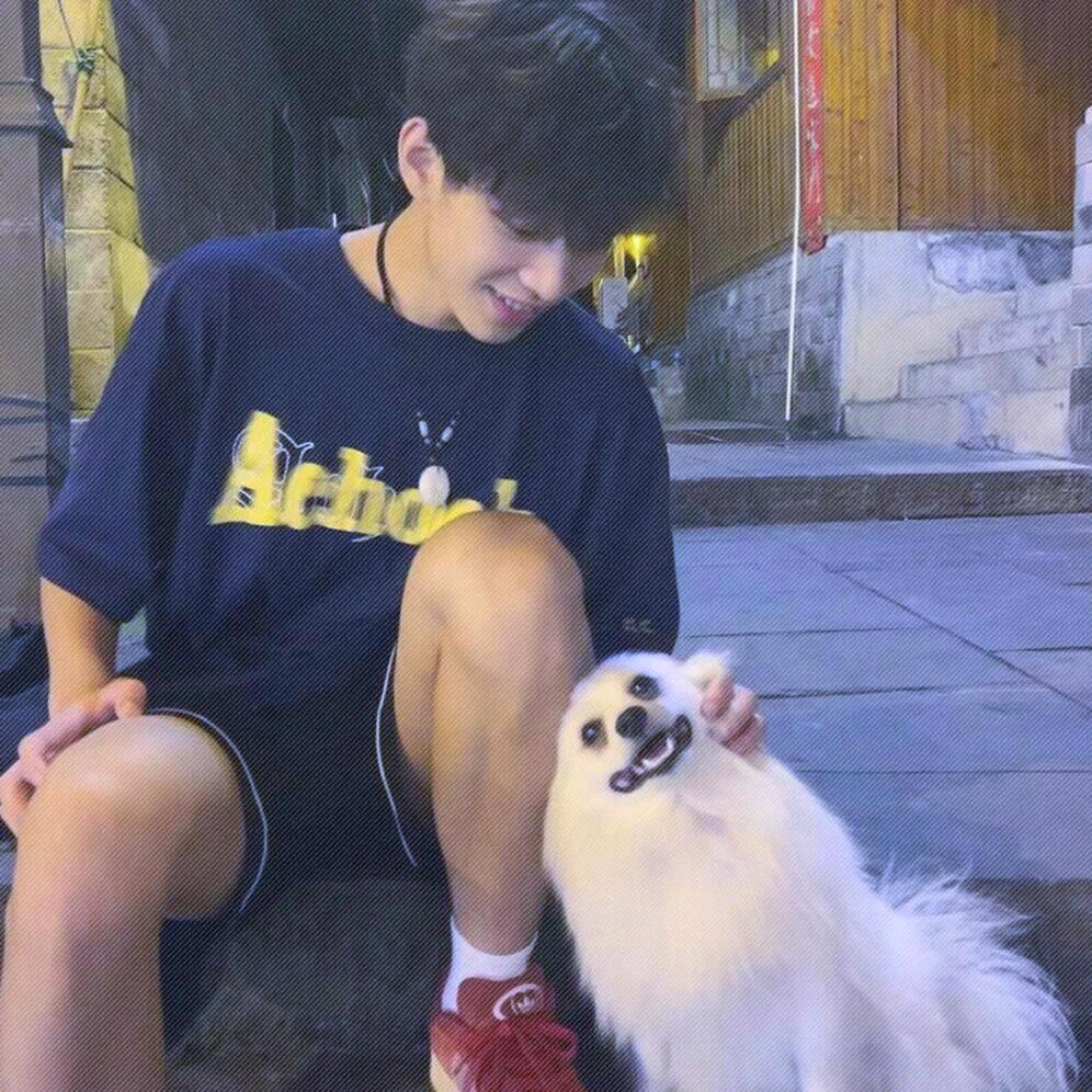 打嘀小狗
