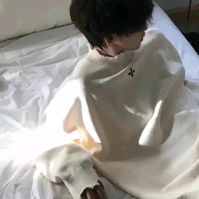 苏麒辞
