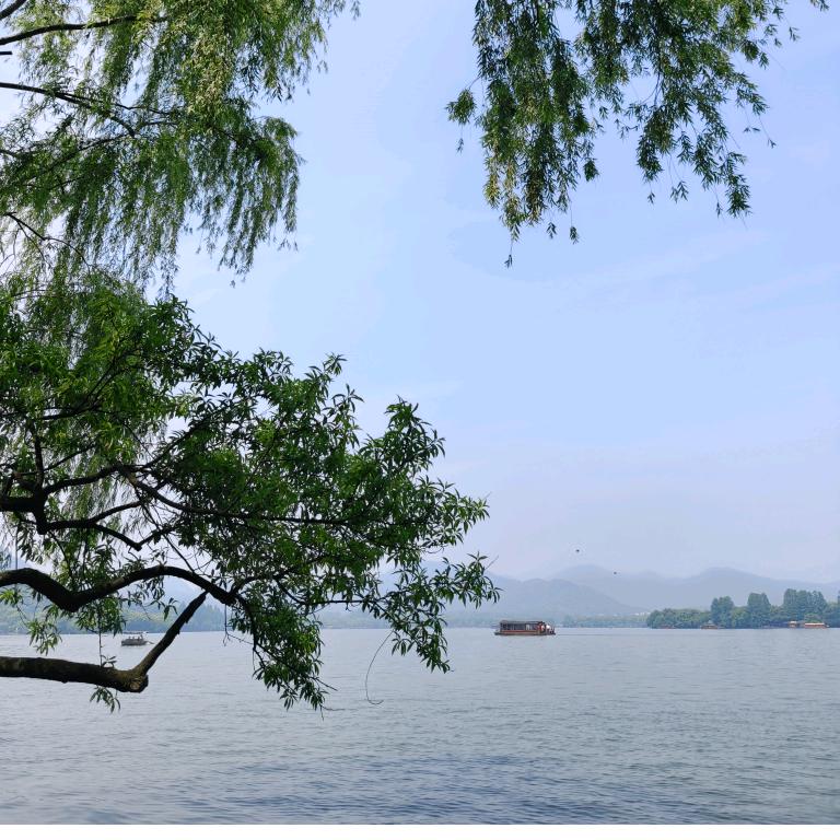 唐果爸