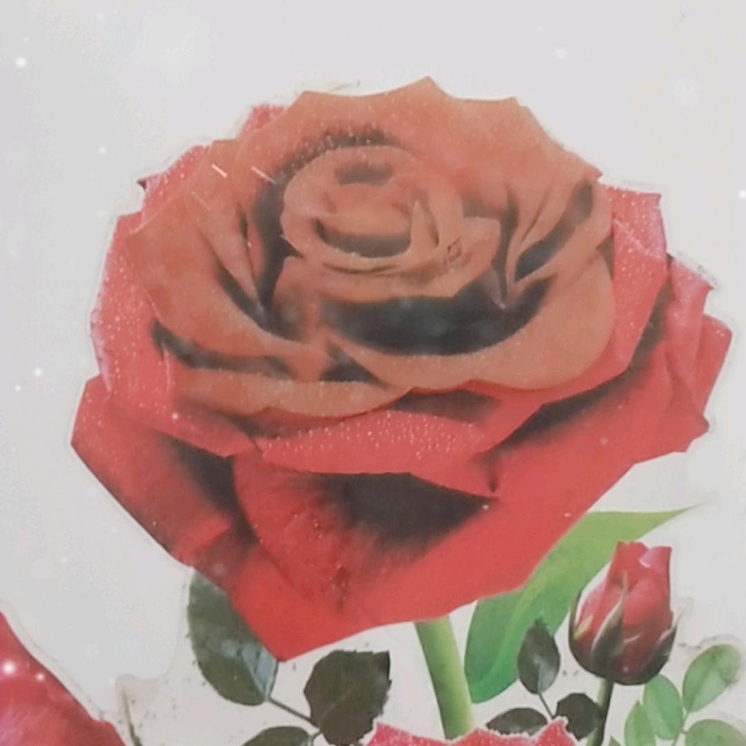 小陈（爱唱歌）