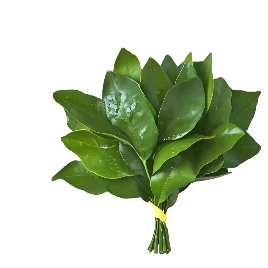 算了吧