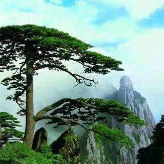 小小有声